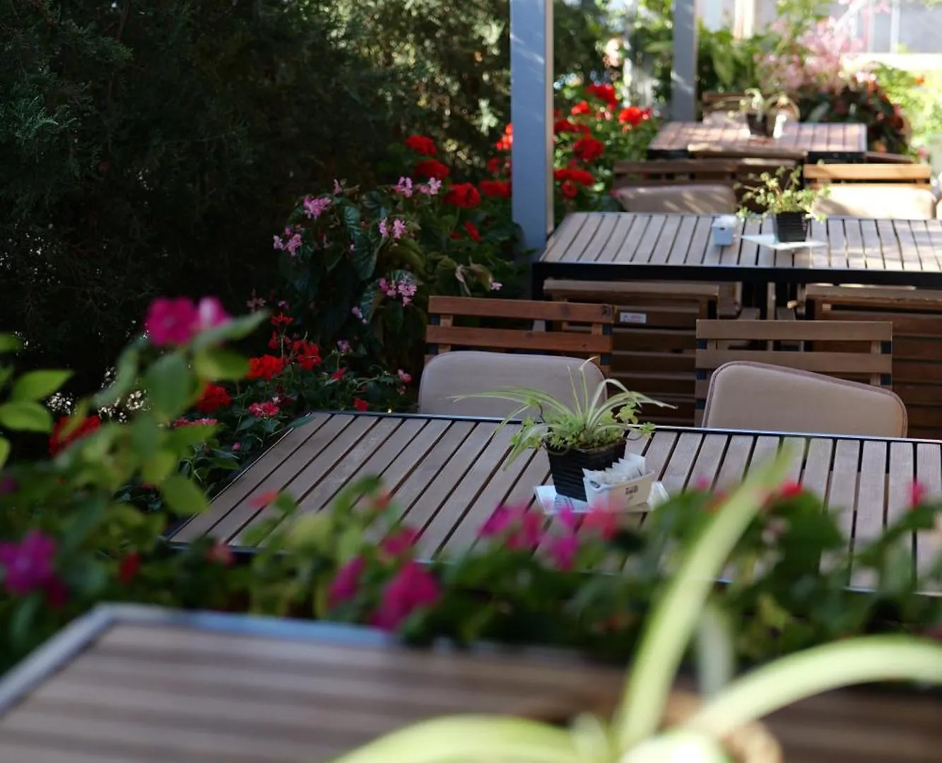 Hotel Abedini Saranda