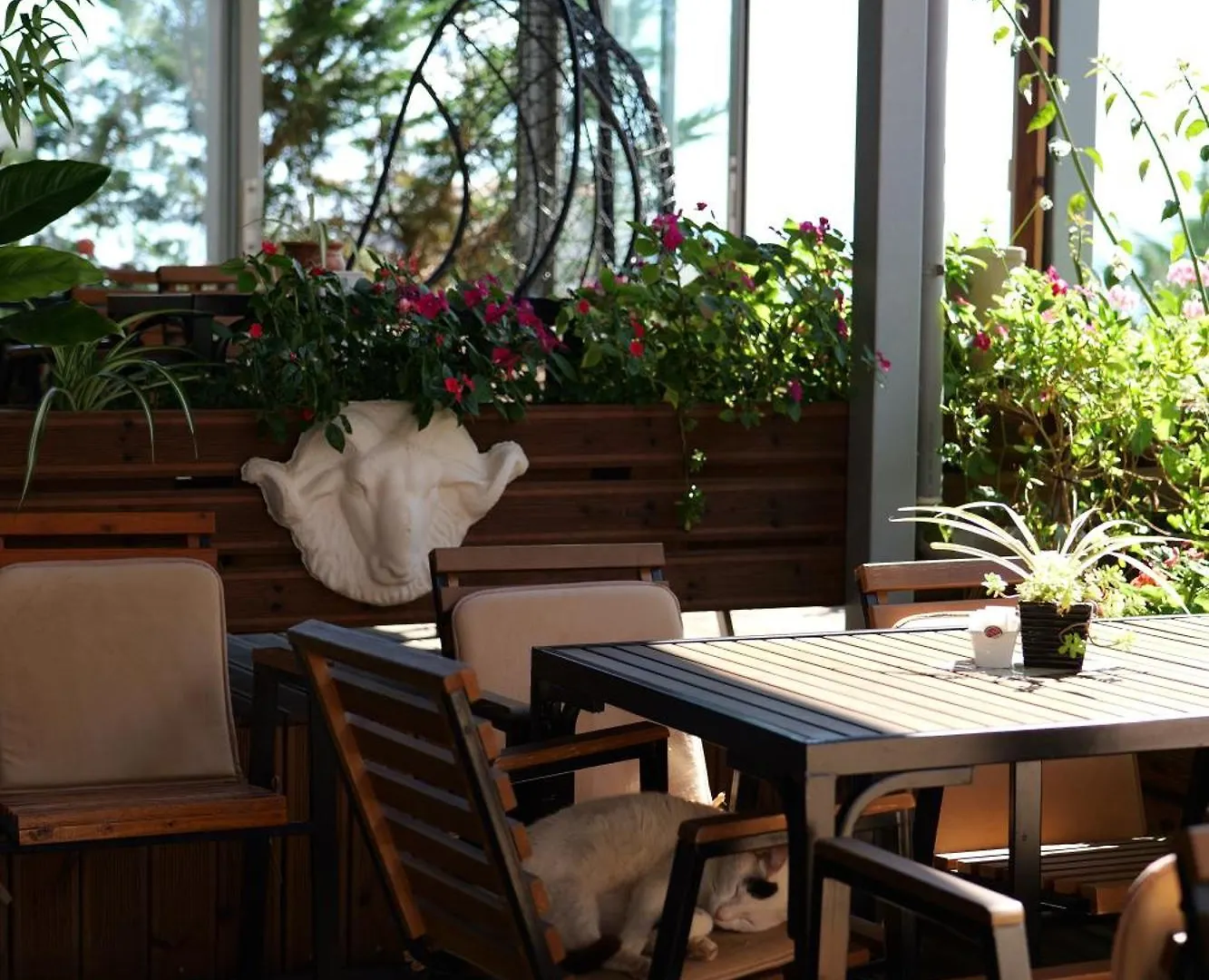 Hotel Abedini Saranda